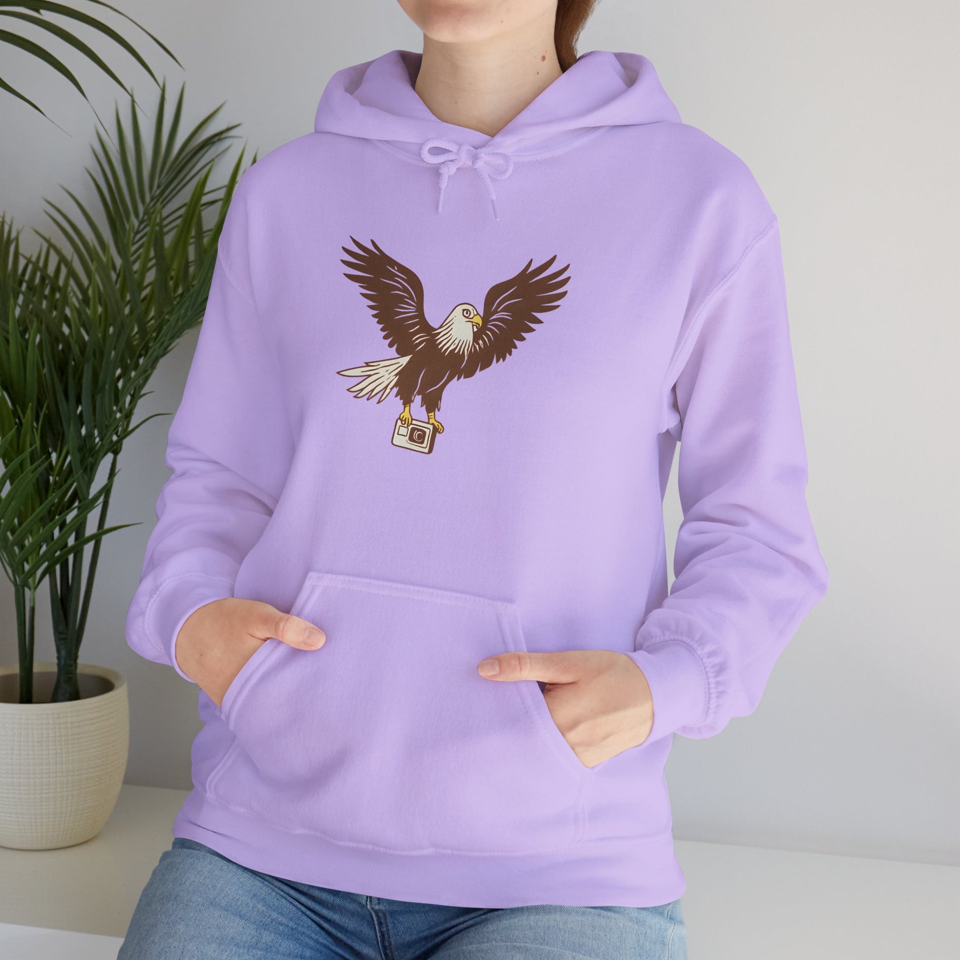 Eagle Adventure Hoodie | Multiple Color Options, Unisex