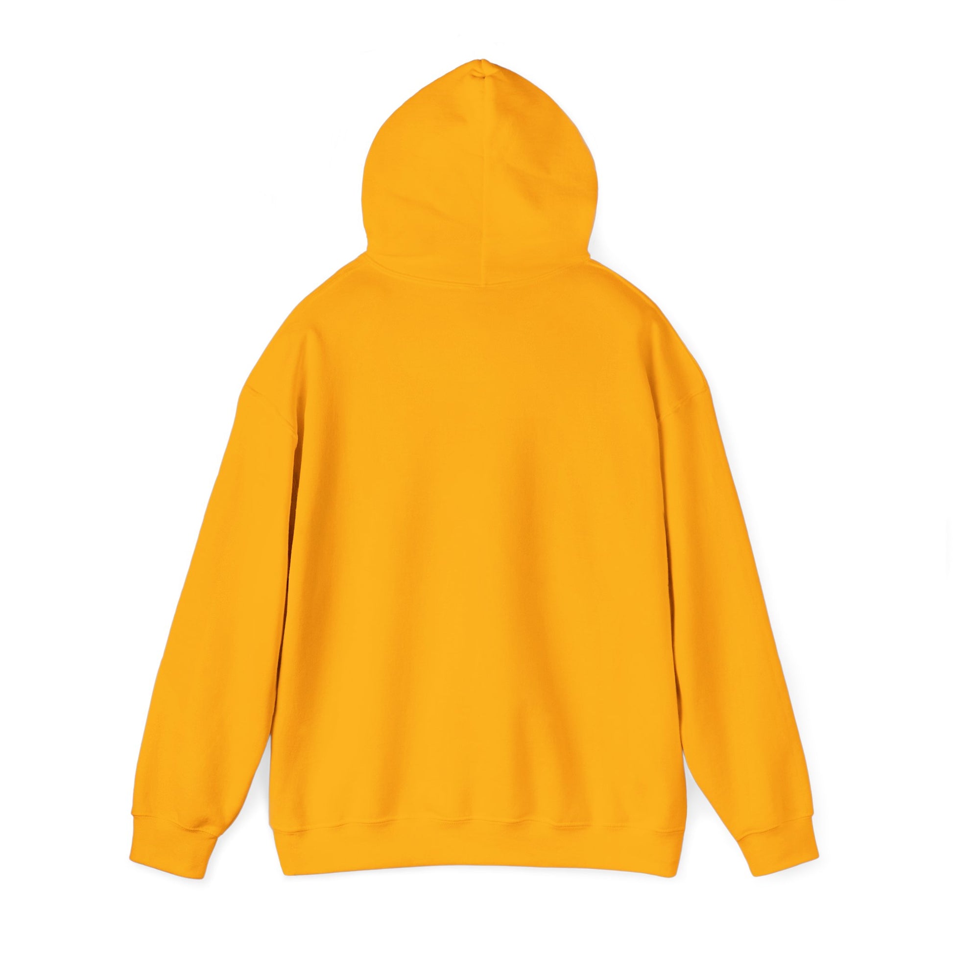 Eagle Adventure Hoodie | Multiple Color Options, Unisex
