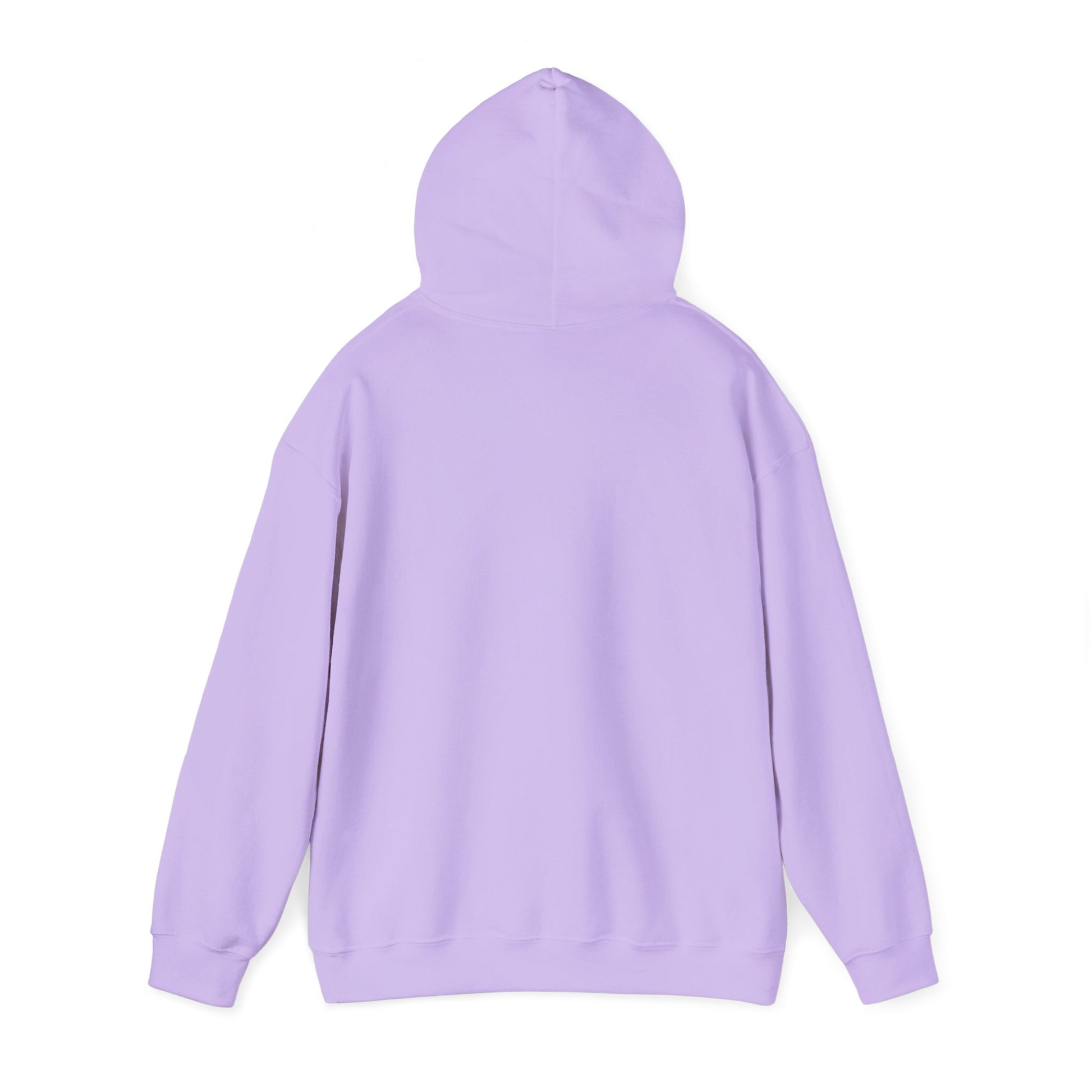 Eagle Adventure Hoodie | Multiple Color Options, Unisex