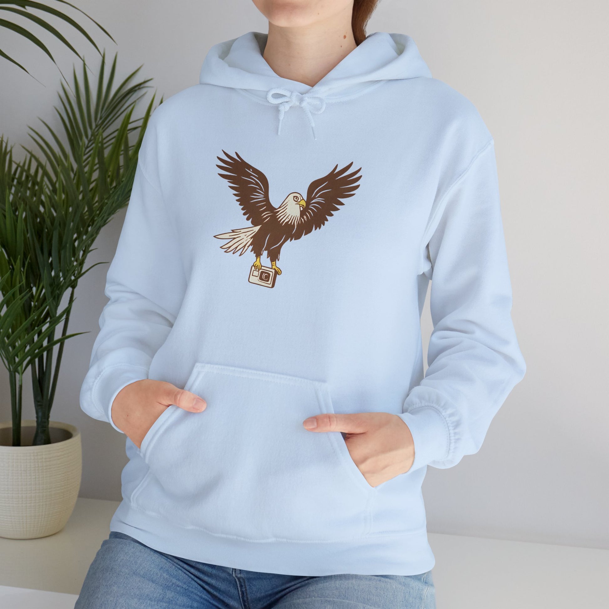 Eagle Adventure Hoodie | Multiple Color Options, Unisex