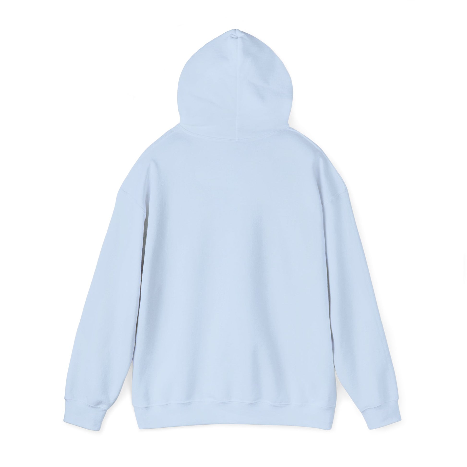 Eagle Adventure Hoodie | Multiple Color Options, Unisex