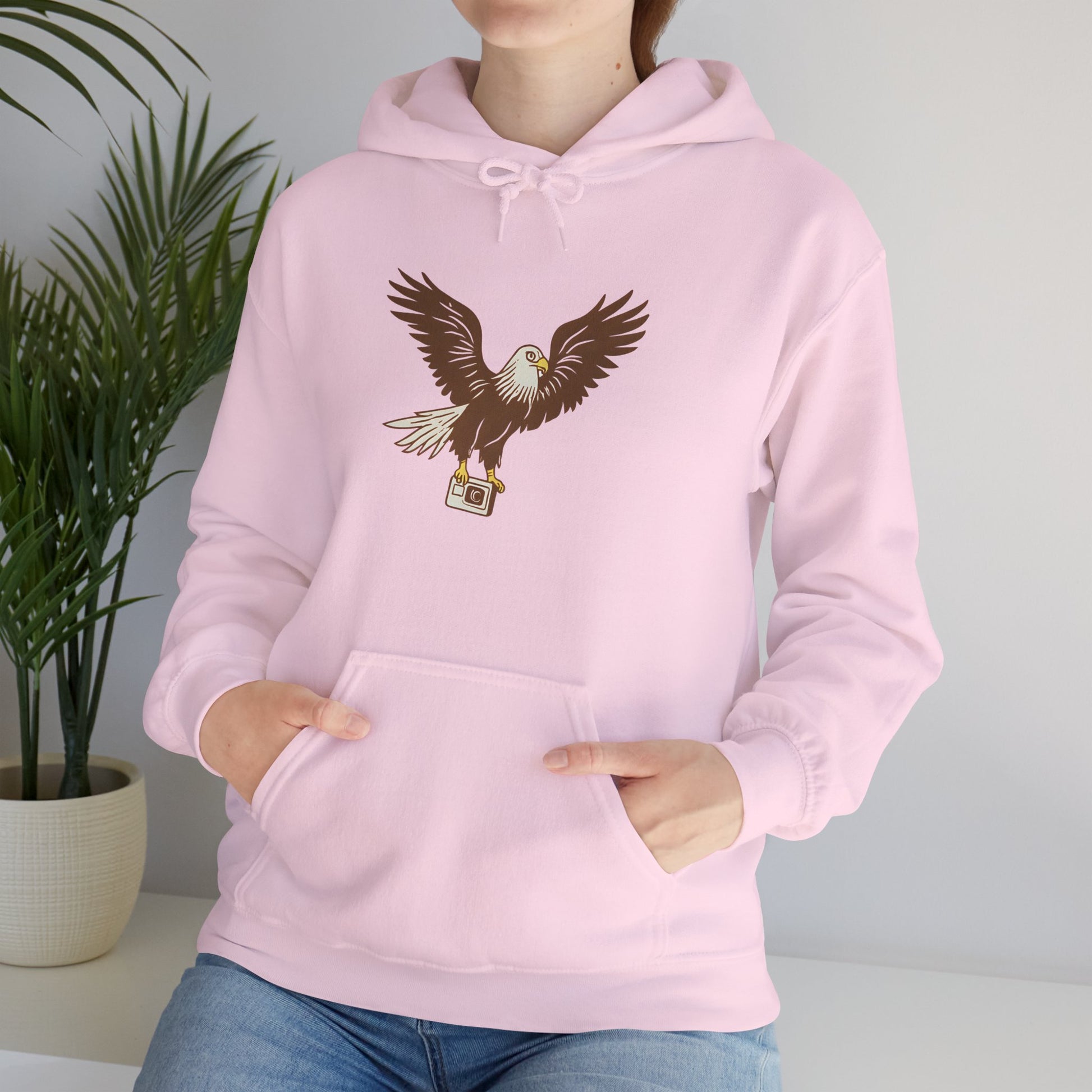 Eagle Adventure Hoodie | Multiple Color Options, Unisex