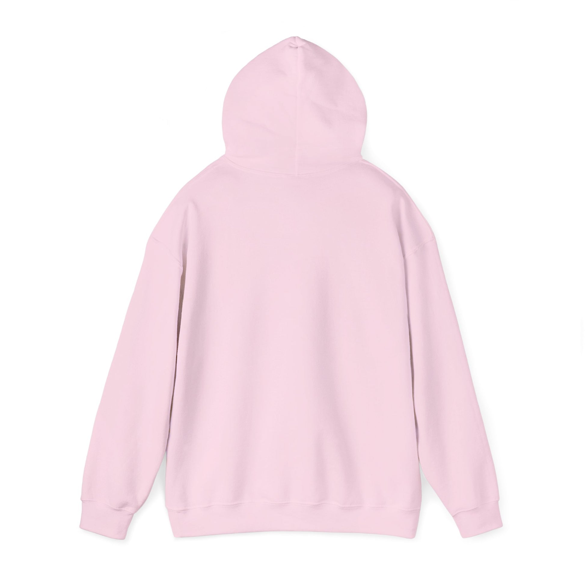 Eagle Adventure Hoodie | Multiple Color Options, Unisex