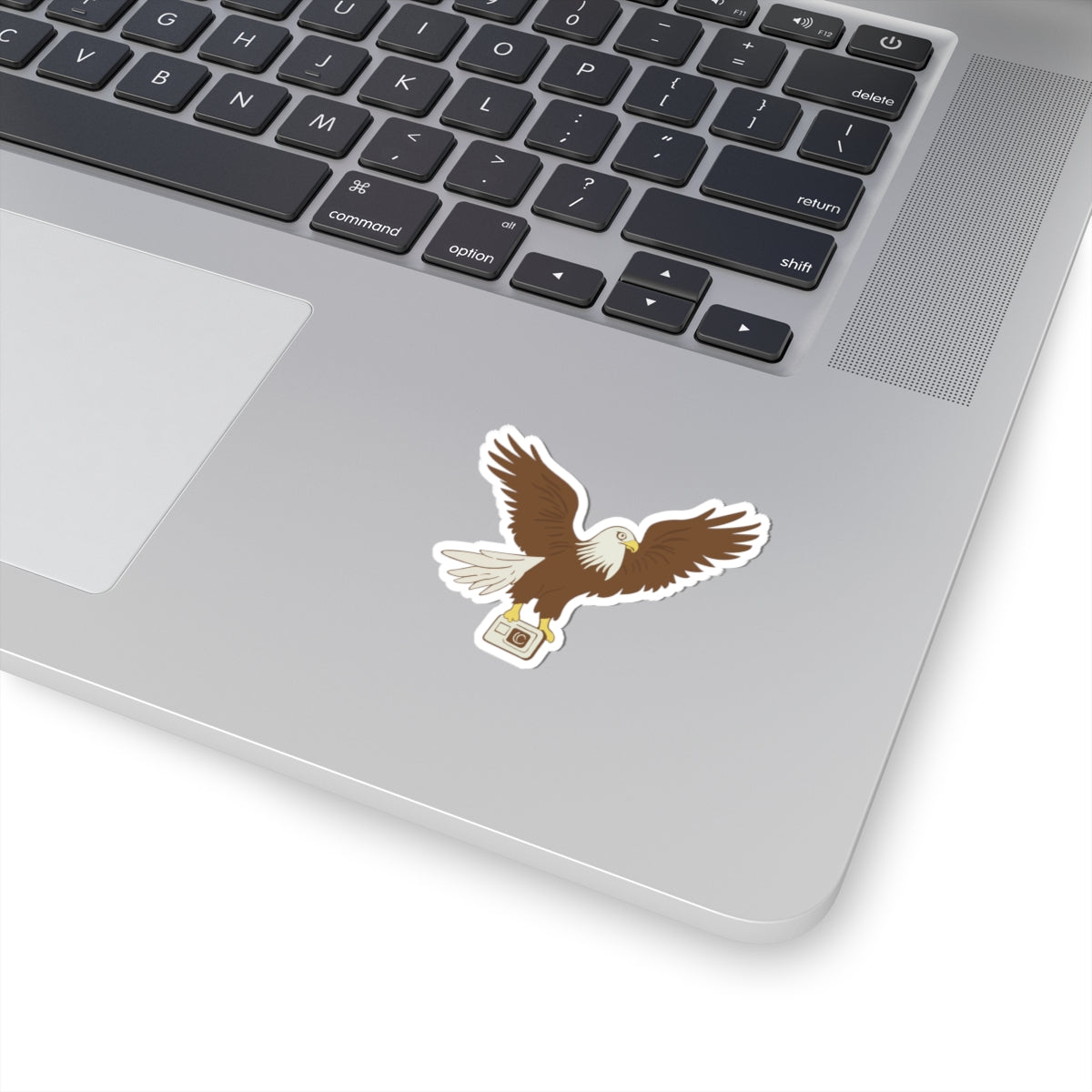 Eagle with Camera Kiss-Cut Stickers