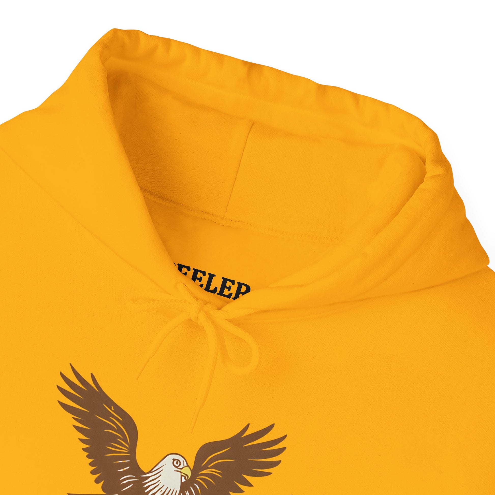 Eagle Adventure Hoodie | Multiple Color Options, Unisex