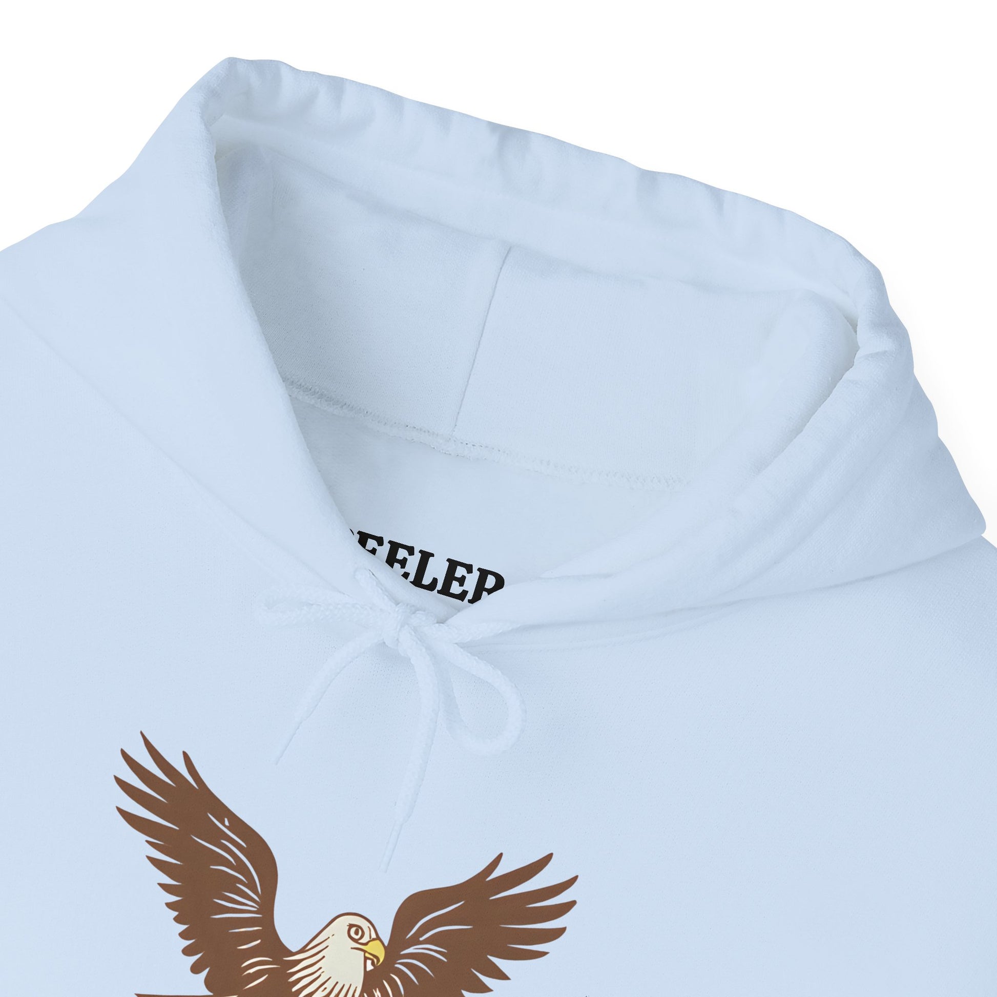 Eagle Adventure Hoodie | Multiple Color Options, Unisex