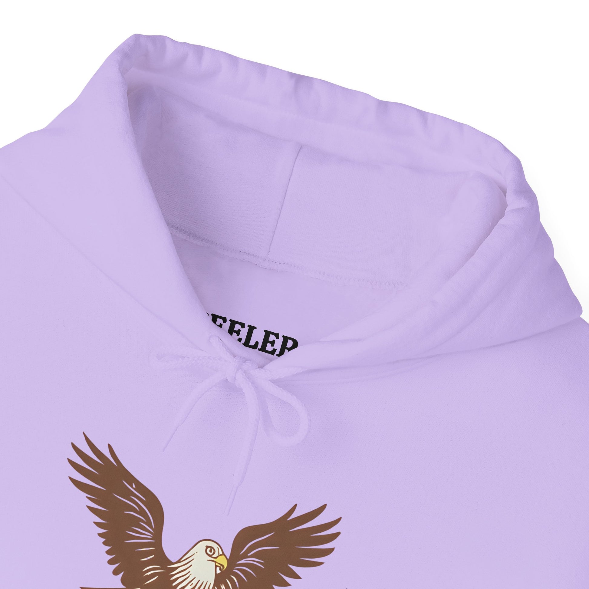 Eagle Adventure Hoodie | Multiple Color Options, Unisex