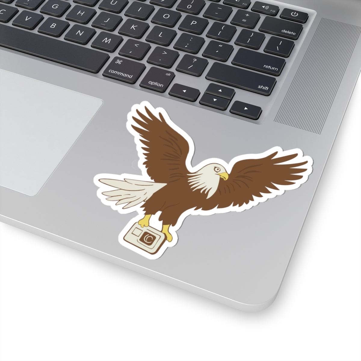 Eagle with Camera Kiss-Cut Stickers