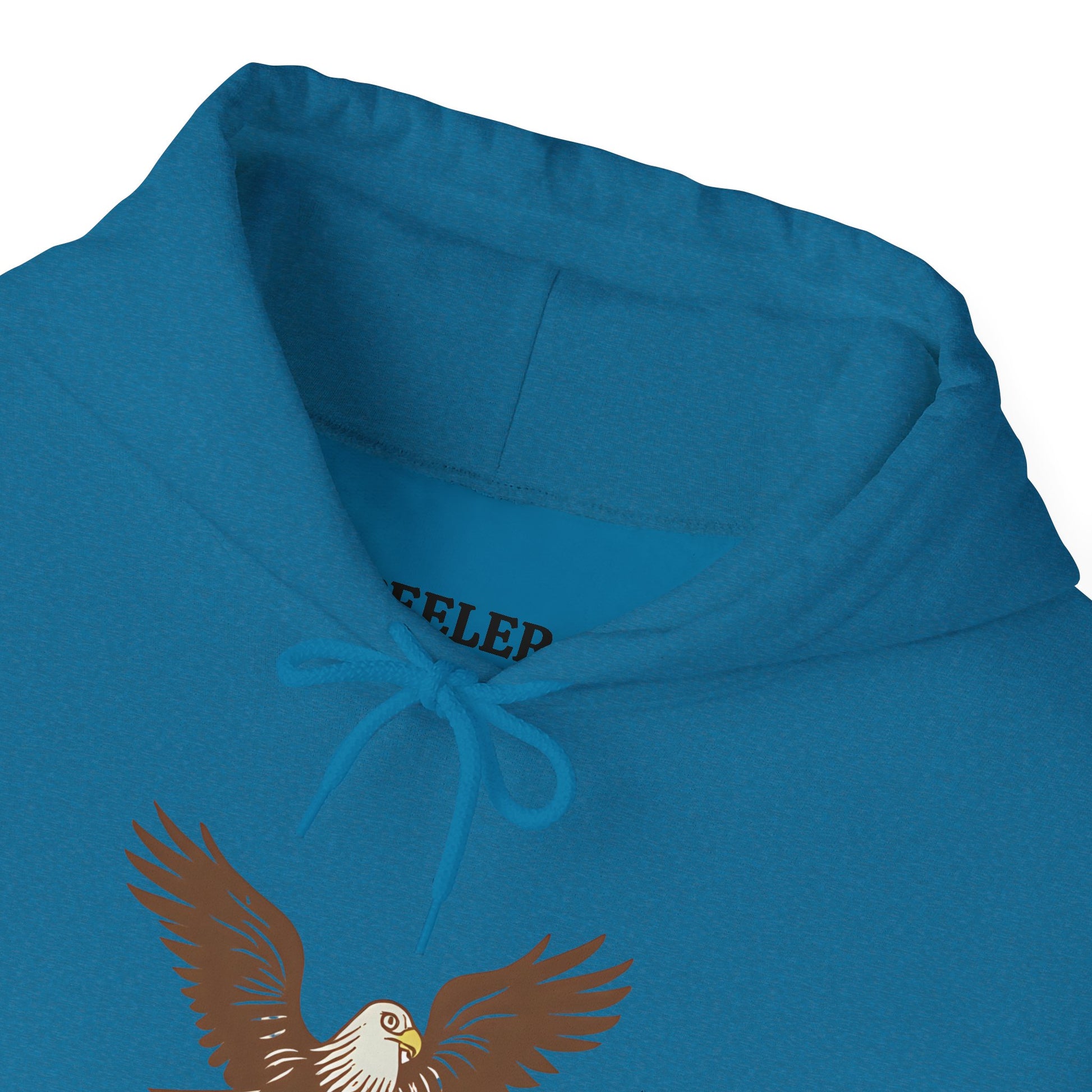 Eagle Adventure Hoodie | Multiple Color Options, Unisex