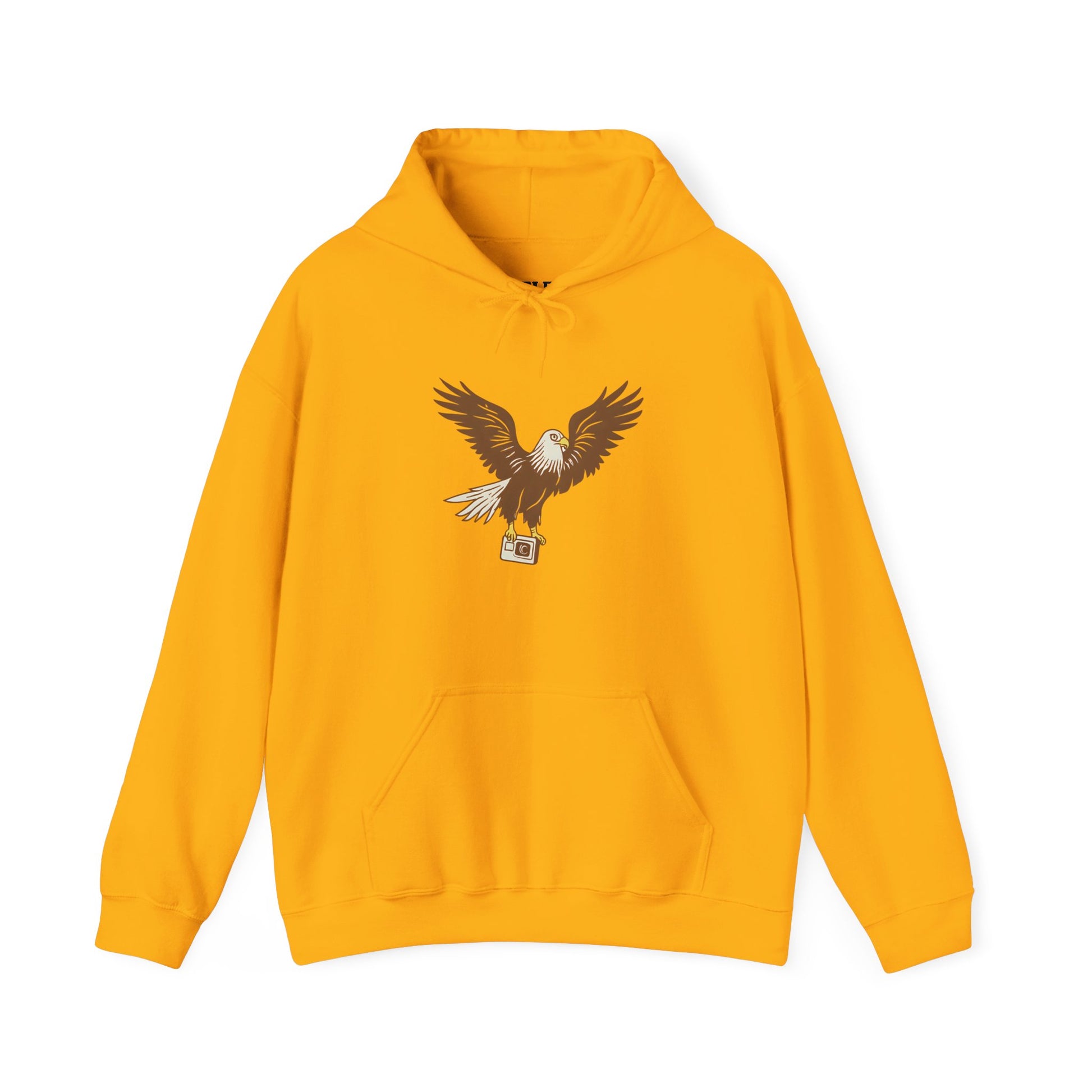 Eagle Adventure Hoodie | Multiple Color Options, Unisex