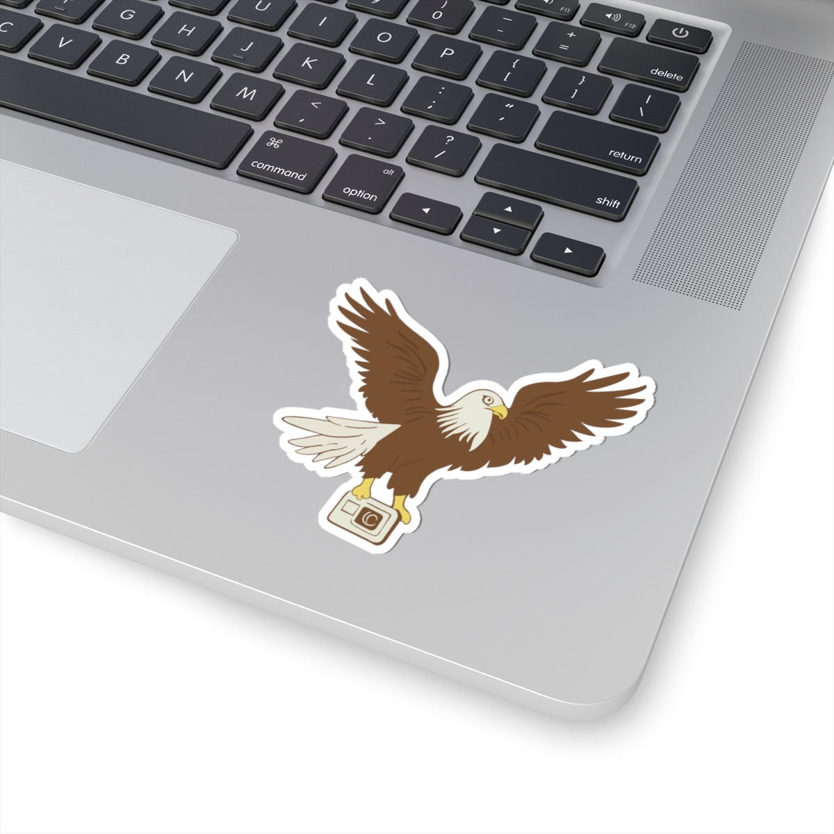 Eagle with Camera Kiss-Cut Stickers