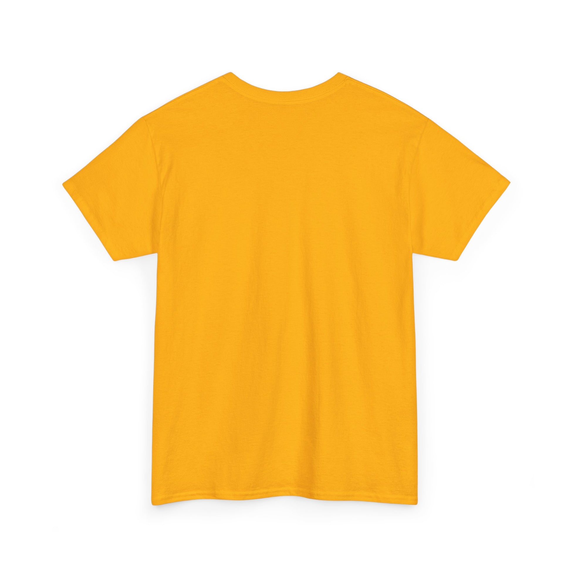 Eagle Graphic Tee | Multiple Color Options, Unisex Cotton T-Shirt