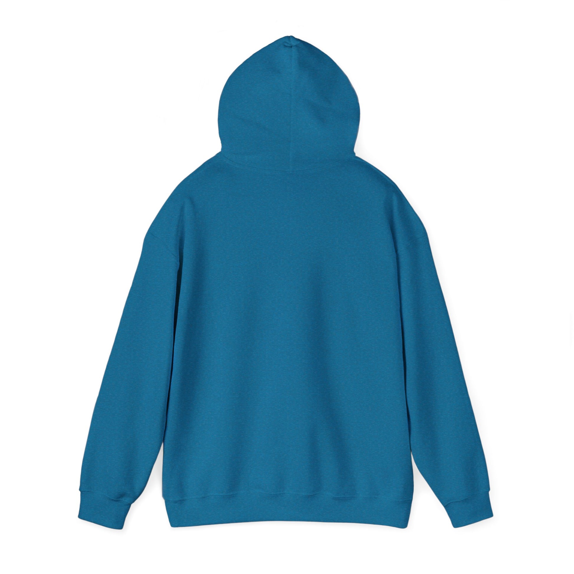 Eagle Adventure Hoodie | Multiple Color Options, Unisex