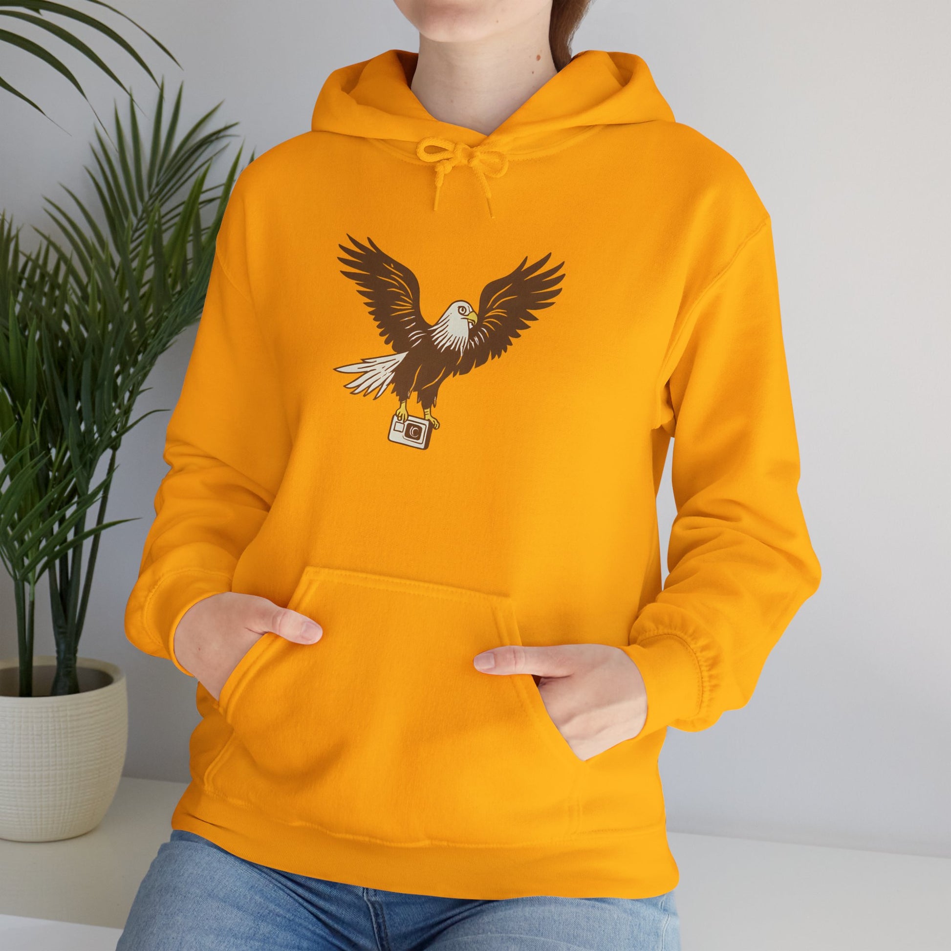 Eagle Adventure Hoodie | Multiple Color Options, Unisex