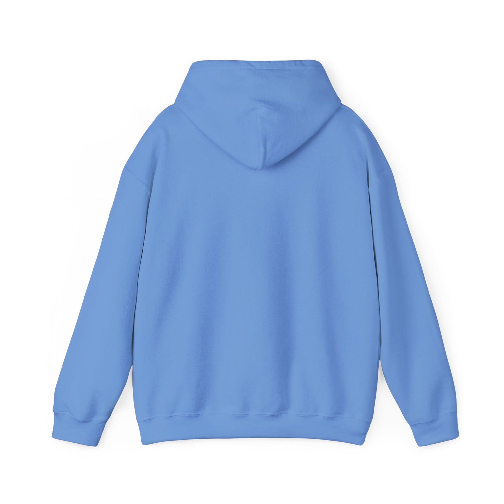 Freedom Through Passion Hoodie | Multiple Color Options, Unisex