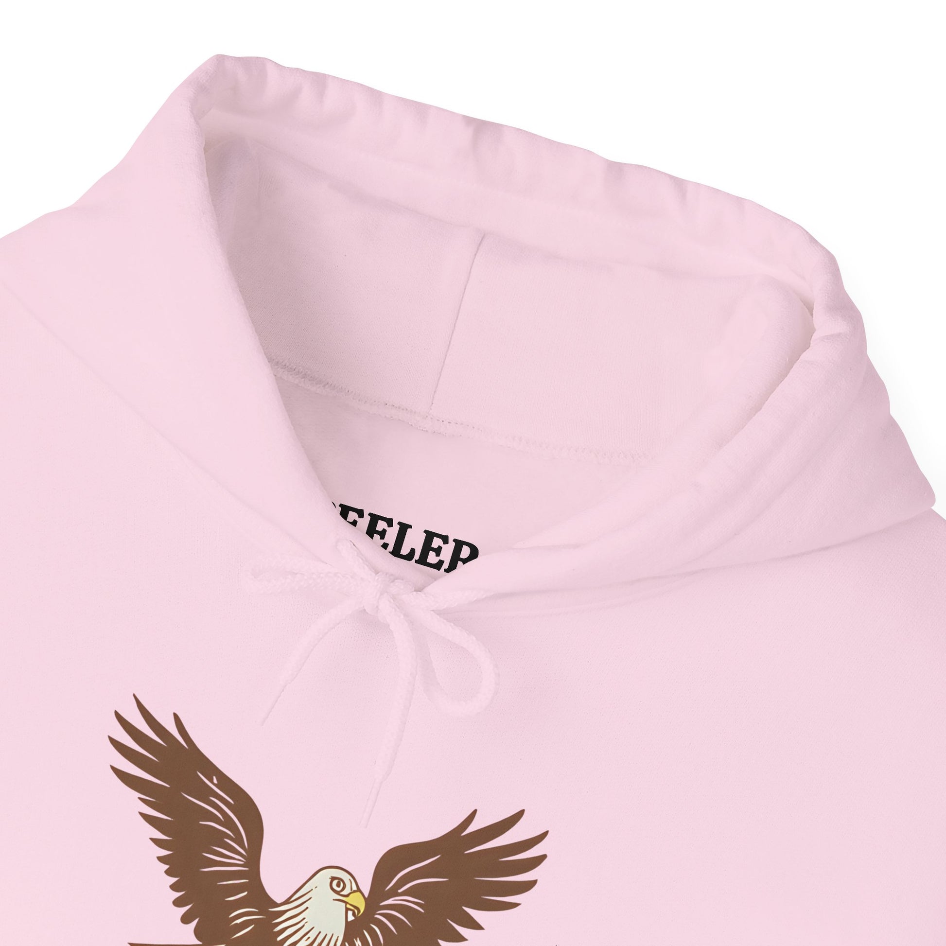Eagle Adventure Hoodie | Multiple Color Options, Unisex