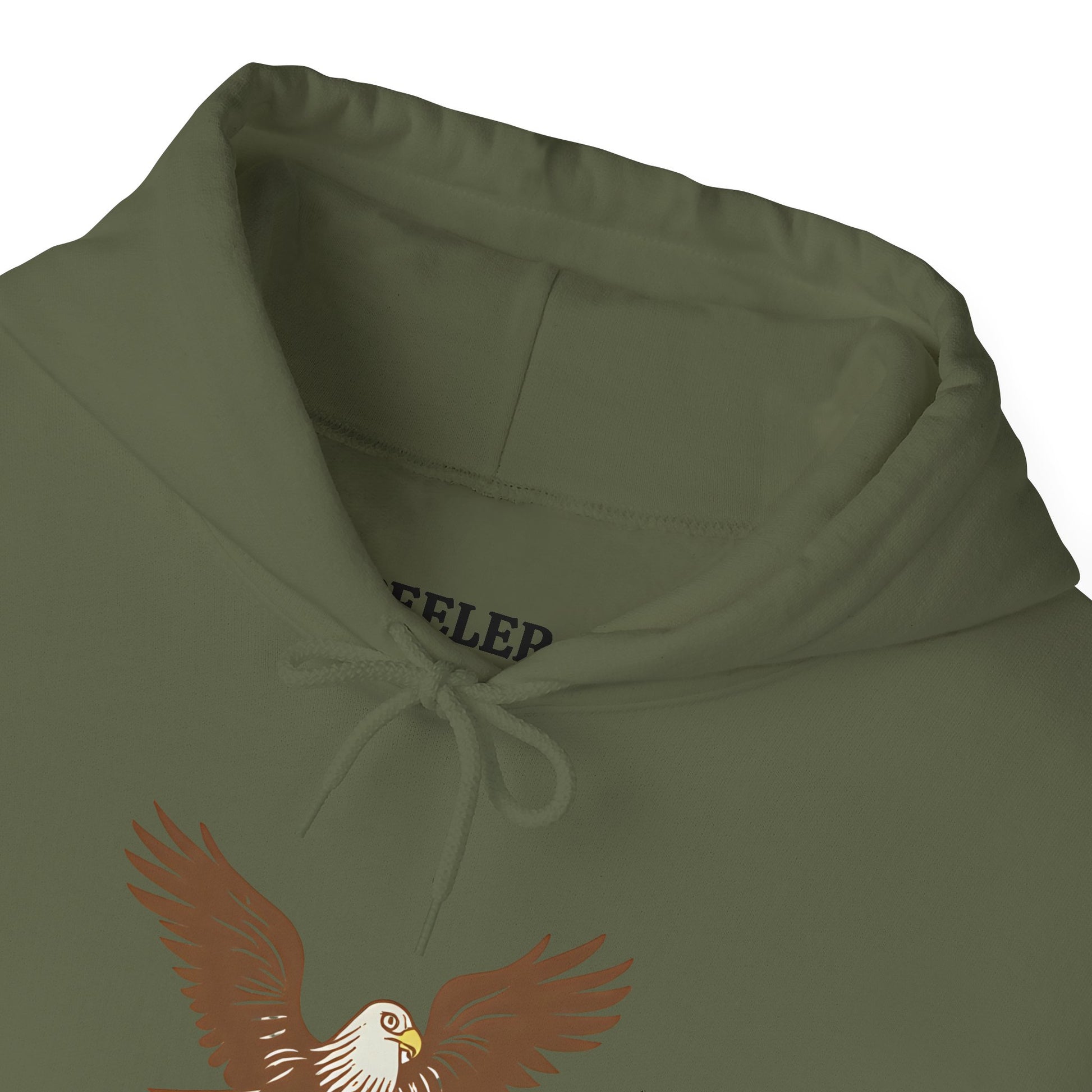 Eagle Adventure Hoodie | Multiple Color Options, Unisex